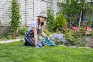 Gazon en rouleau : la pelouse parfaite pour sublimer vos allées